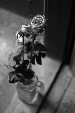 Černobílá fotografie - Opuštěná krása