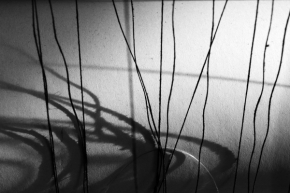 Černobílá fotografie - Linie