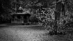Černobílá fotografie - Scary park