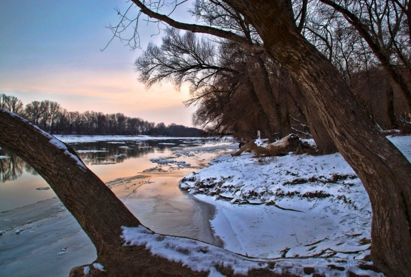 Dunajská zima