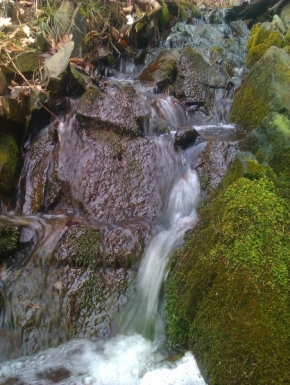 Divoká příroda - vodopád