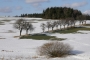 Předjaří