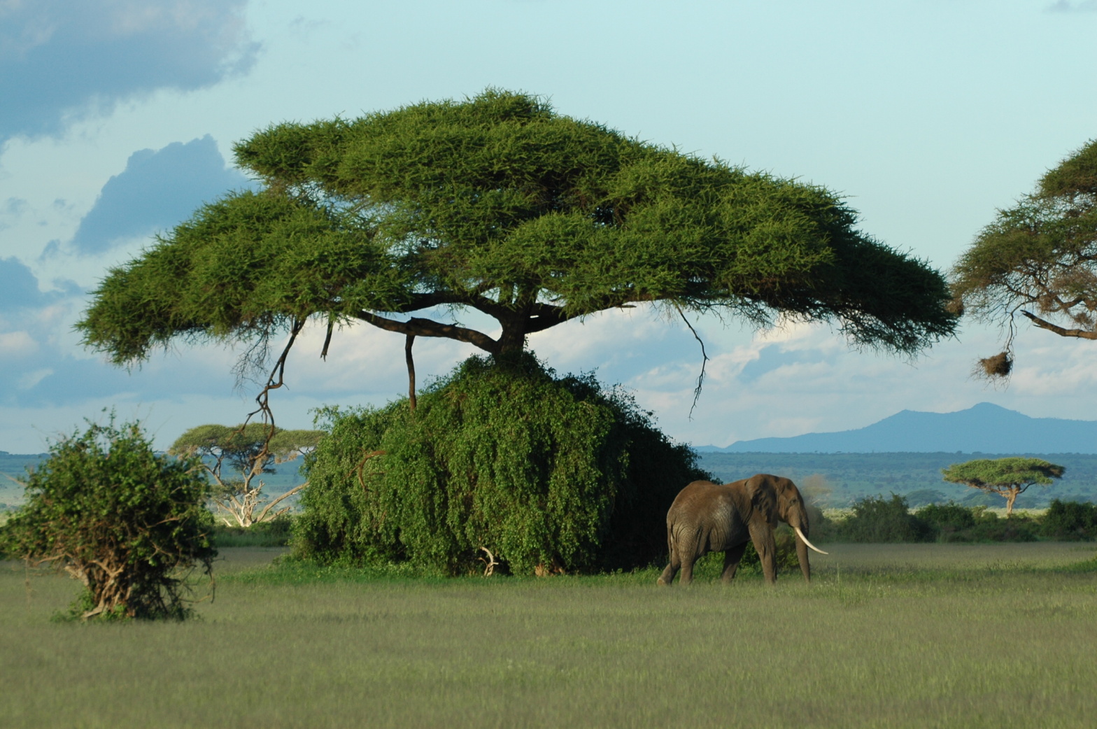 Beautiful Kenya