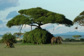 Jitka Krutílková - Beautiful Kenya