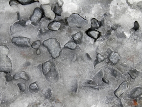 Makro v přírodě - Kamínky schované pod ledem...