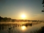 Hana Janurová -Zlaté slunce nad rybníkem
