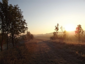 Fotograf roku v přírodě 2012 - Podzimní ranní cesta