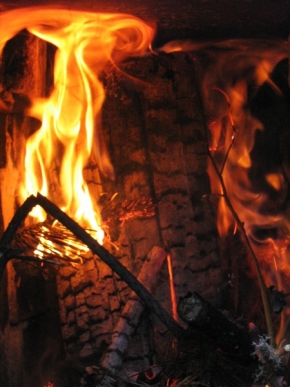 Divoká příroda - Oheň