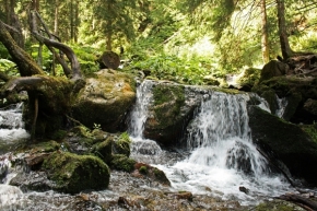 Divoká příroda - divoká řeka