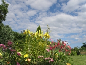 Fotograf roku v přírodě 2012 - květiny a obloha