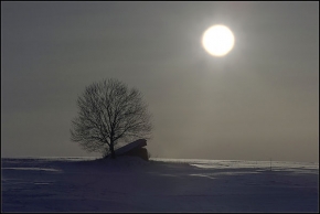 Zimní podvečer - Večerní mlha