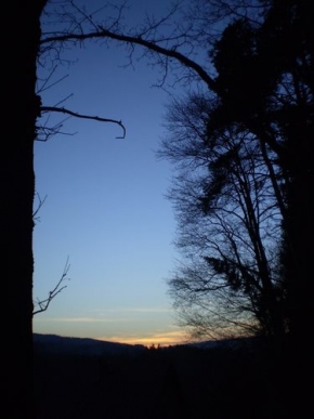 Zimní podvečer - Zimní podvečer mezi stromy