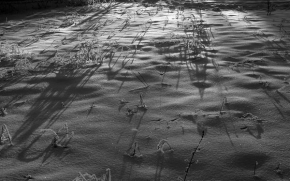 Zimní podvečer - Fotograf roku - kreativita - Stříbrná zima