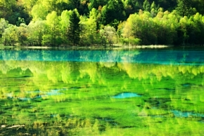 Daleko od domova - Five Color Lake 1, Jiuzhaigou, Sichuan