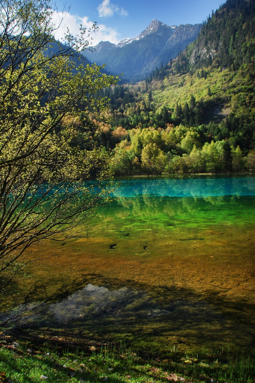 Five Color Lake 3, Jiuzhaigou, Sichuan