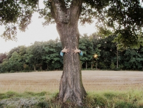 Fotograf roku v přírodě 2012 - Ke kořenům