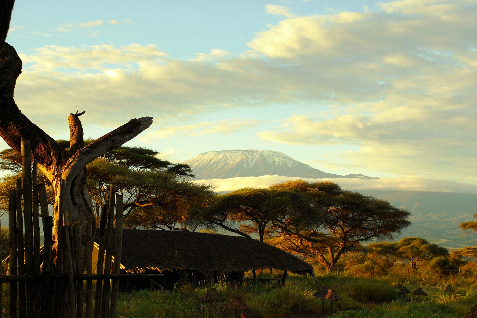 Ráno pod Kilimanžárem