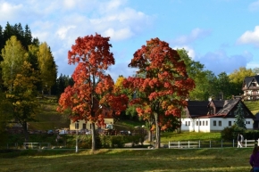 Fotograf roku v přírodě 2012 - Harrachov - podzim a stromy