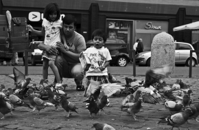 Život ve městě - Krmení holubů 