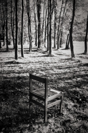 Objekt v krajině - Fotograf roku - Junior - I. kolo - Židle