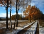 Radovan Kremlička -První sníh