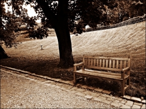 Objekt v krajině - Sedíc sama a tiše