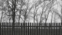 Vláďa Holoubek -Za plotem