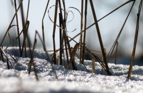 Miniaturní příroda - A zase ta zima