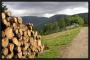 Zamračené Krkonoše