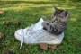 Iva Martinková -Kotě v botě