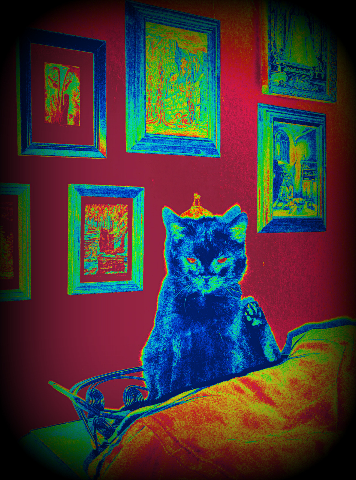 sen o modré kočce (zátiší s kočkou)