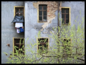 Jitka  Fabianová - Pohled z okna