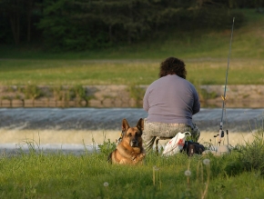 Člověk a jeho zvířátka - Společné čekání