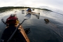 lumir drapal -záchrana ztraceného losa v Norsku