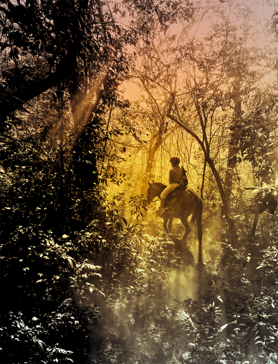 Na koni v pralese