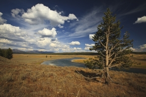 Fotograf roku na cestách 2013 - krajina v NP Yellowstone