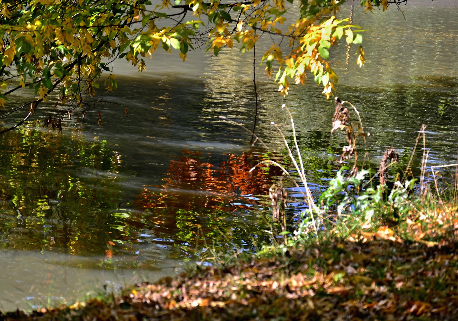 Podzim ve vodě