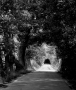 Miluše Chvalovská -na konci tunelu