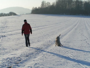 Člověk a jeho zvířátka - Miluju zmrzlý sníh, aspoň si můžu pořádně podrbat čumák