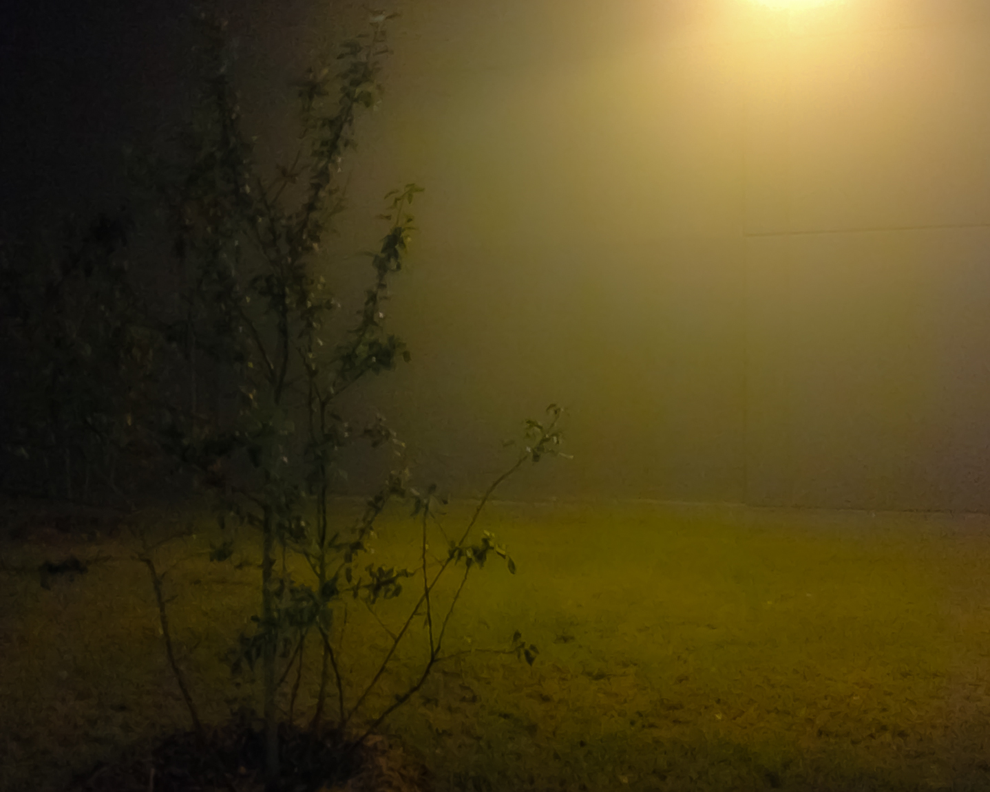 Mlhavé ráno 3