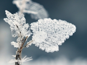 Zimní království - ledová krása