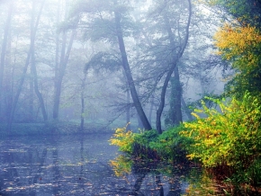 Moje nejkrásnější krajina - Fotograf roku - Kreativita - VII.kolo - Podzimní nálada u tůní.