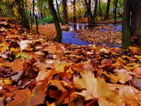 Moje nejkrásnější krajina - Podzim