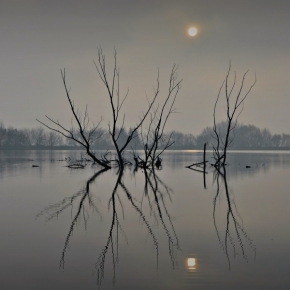 Petra Tomaštíková - Svítání u jezera