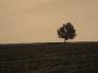 Alone