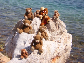 Hry s obrazem - Medvědi na dovolené