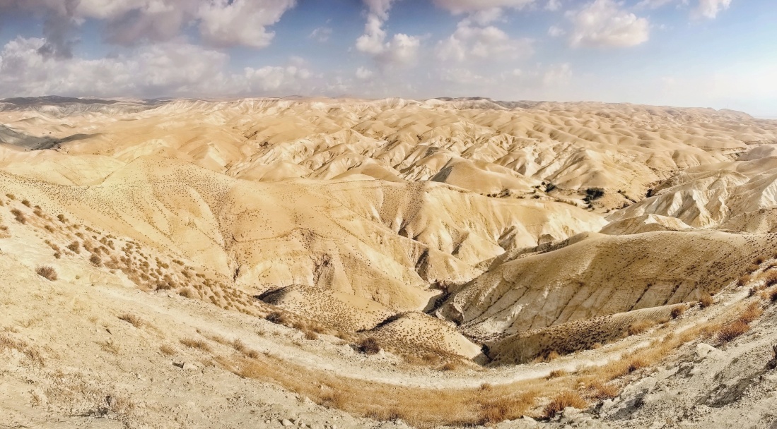 Judská poušť