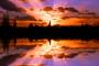 Reflections