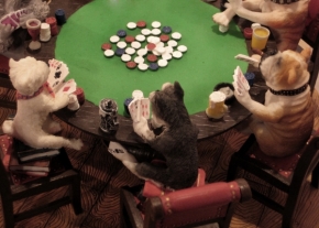 Svět zvířat - Poker