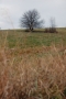 Osamocený